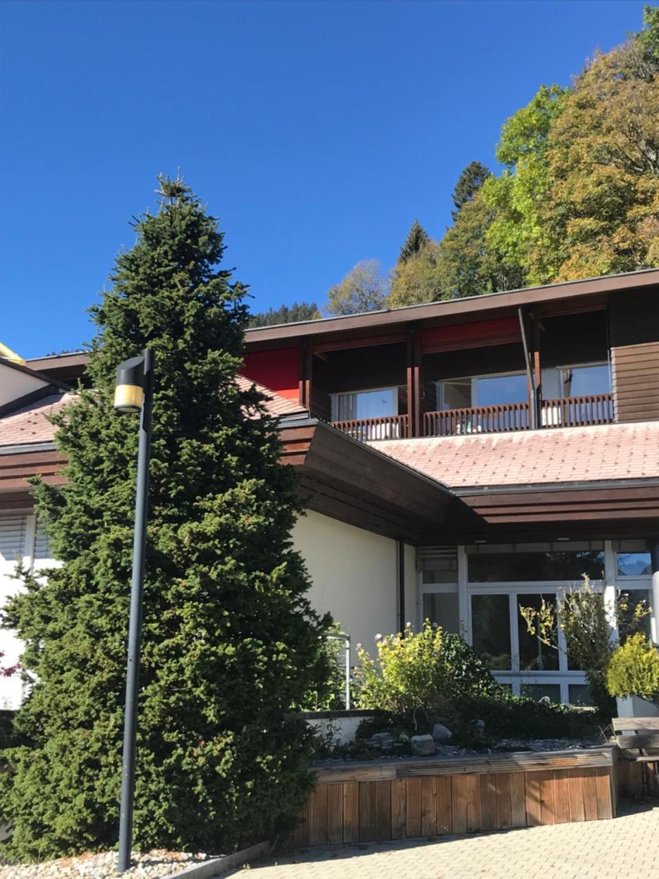 Budget Rooms Gstaad Schönried Εξωτερικό φωτογραφία