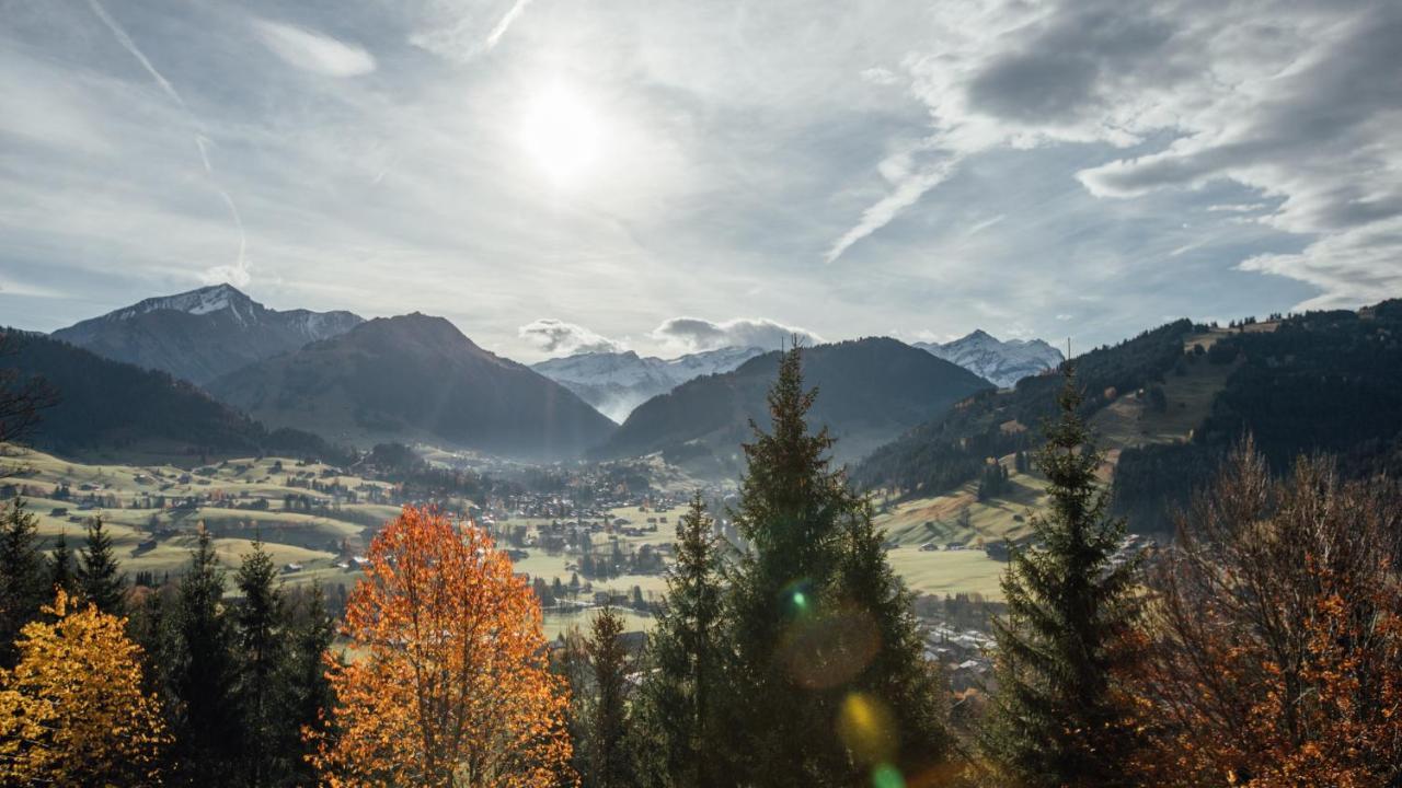 Budget Rooms Gstaad Schönried Εξωτερικό φωτογραφία